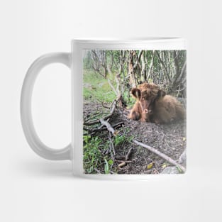 Scottish Highland Cattle Calf 1499 Mug